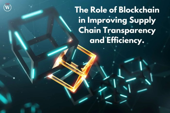 The Role of Blockchain in Supply Chain Transparency and Efficiency