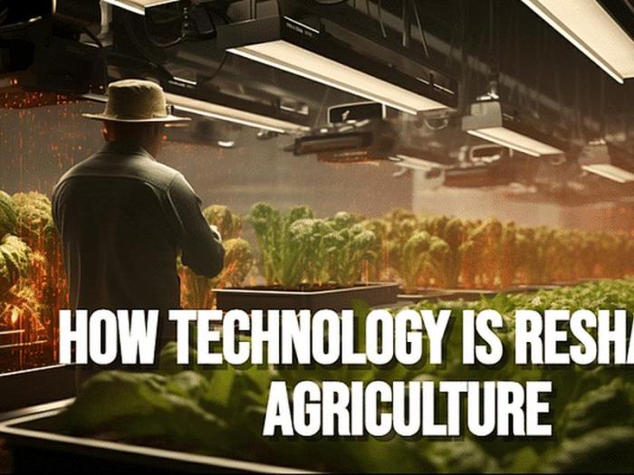 How Technology is Reshaping Traditional Farming Techniques