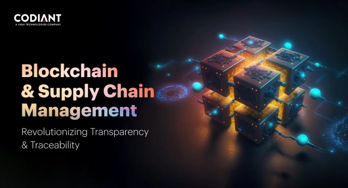 How Blockchain is Improving Transparency in Global Trade