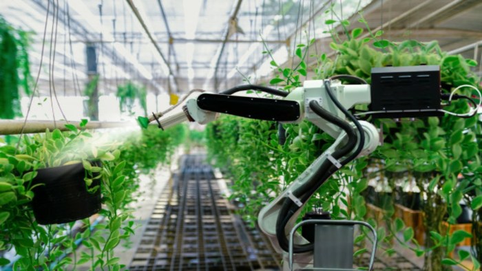 The Role of Robotics in Revolutionizing the Agriculture Industry