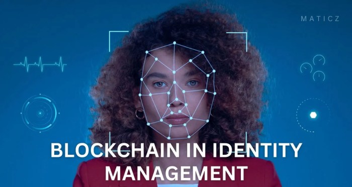 The Impact of Blockchain on Digital Identity Management