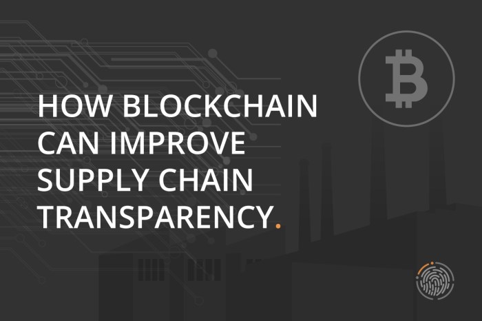 How Blockchain Can Increase Transparency in Financial Transactions