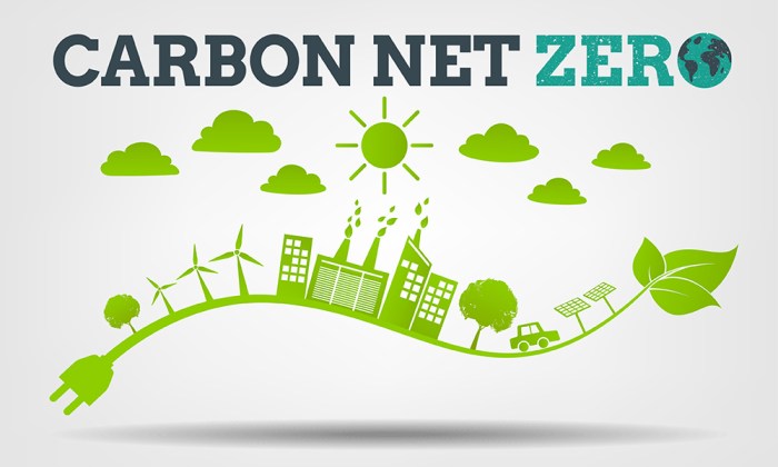 The Role of Technology in Reducing the Carbon Footprint