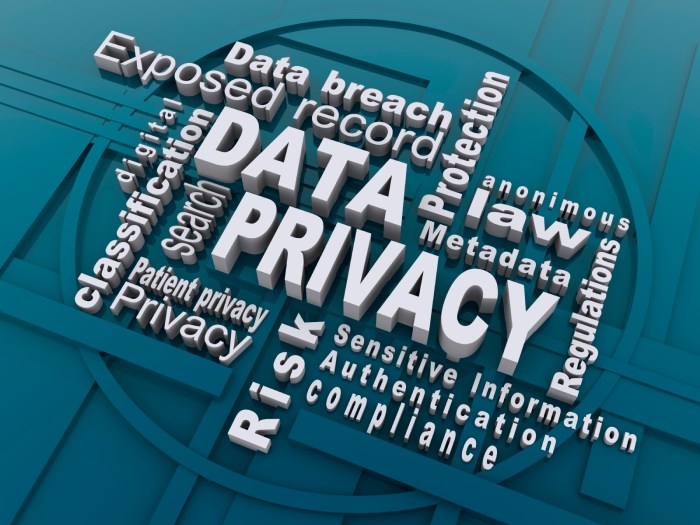 The Role of Data Privacy in the Digital Age