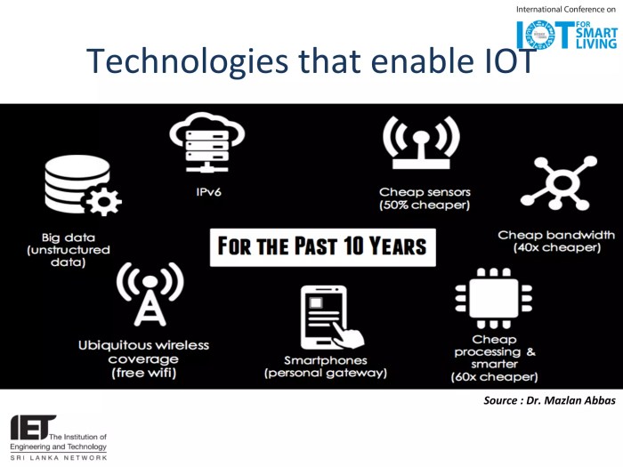 The Role of IoT in Building Smarter Cities