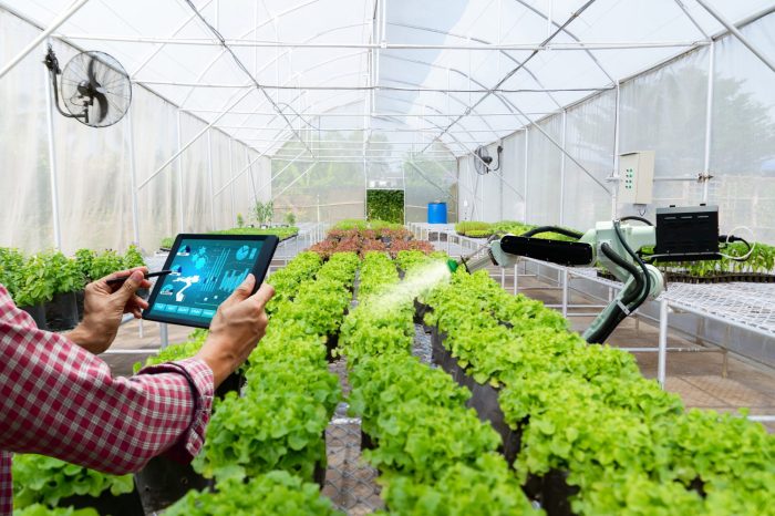 How Robotics is Transforming the Future of Precision Agriculture