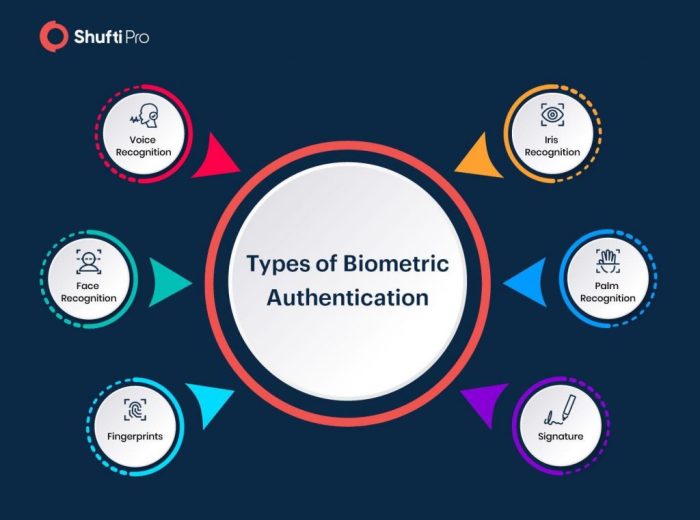 Biometric authentication fingerprint replacing methods traditional biometrics technology authorization m2sys identity deployment simplifies