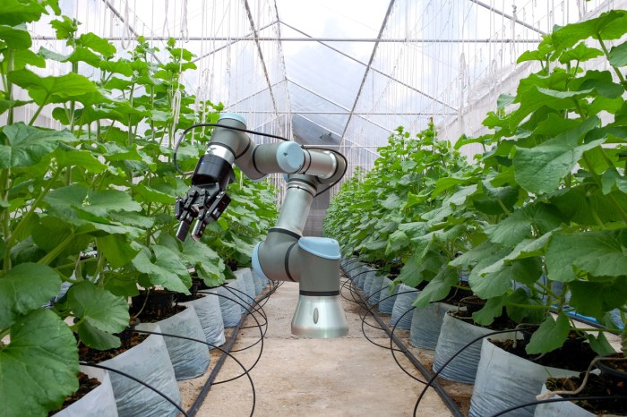 The Future of Smart Agriculture Using IoT and Robotics