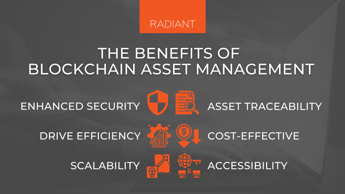 The Role of Blockchain in Securing Digital Assets