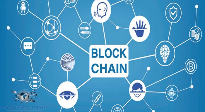 The Role of Blockchain in Securing Digital Communications and Data