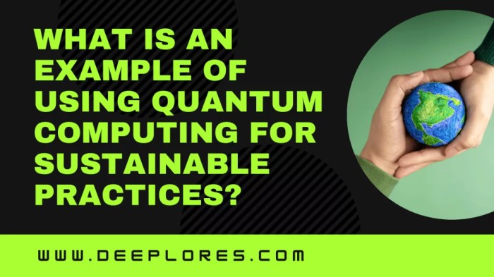 The Role of Quantum Computing in Advancing Global Sustainability