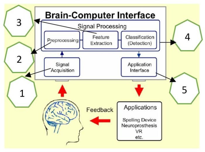 Exploring the Possibilities of Brain-Computer Interfaces