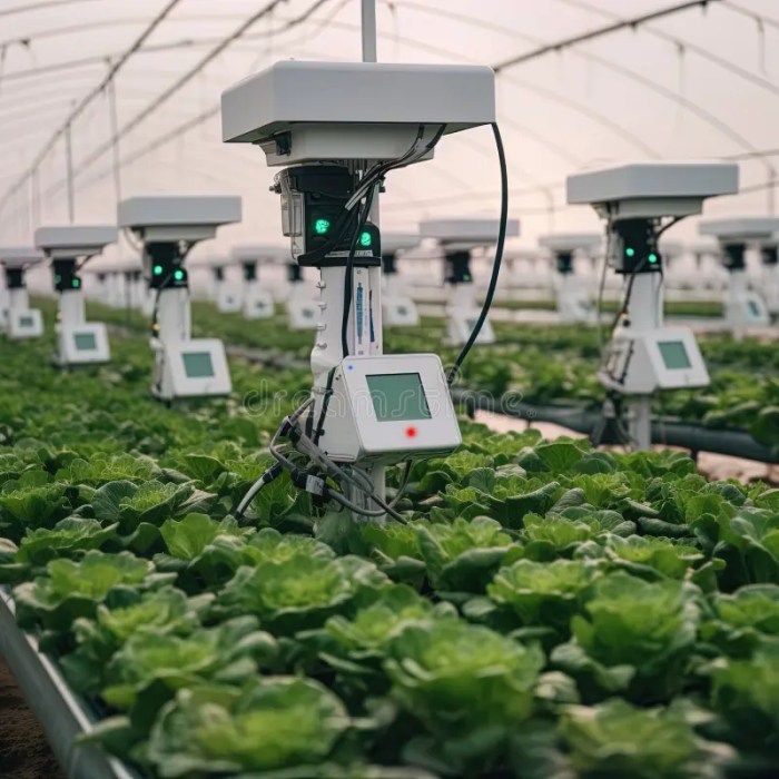 The Role of Robotics in Precision Agriculture for Sustainable Farming