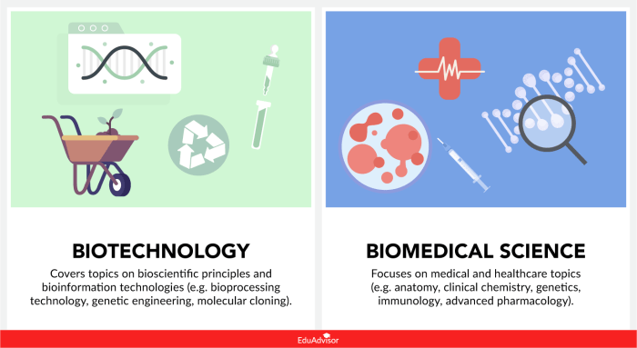 The Intersection of Biotechnology and Technology in Medicine