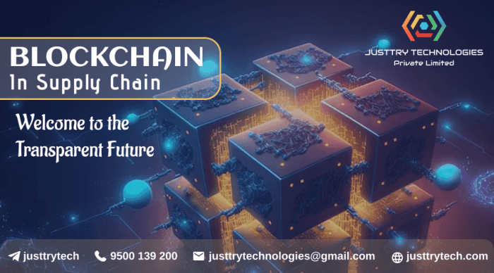 The Future of Blockchain in Solving Supply Chain Challenges