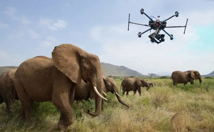 The Role of Drones in Environmental Conservation