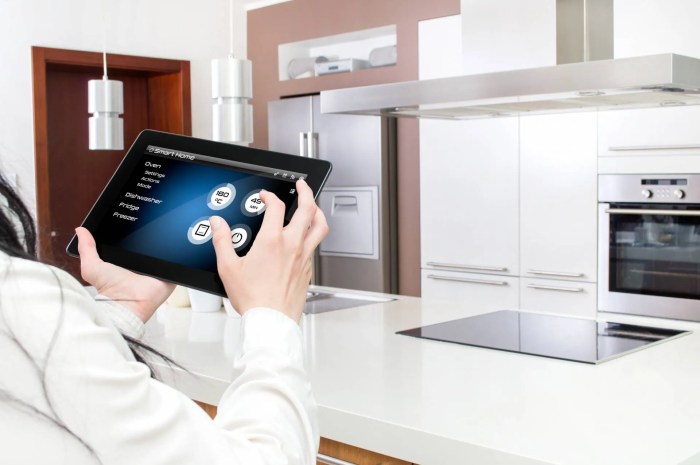 The Future of Smart Appliances in Making Homes More Efficient