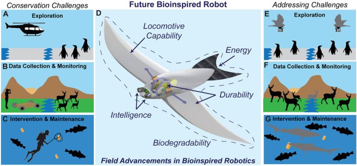 How Robotics is Shaping the Future of Environmental Conservation