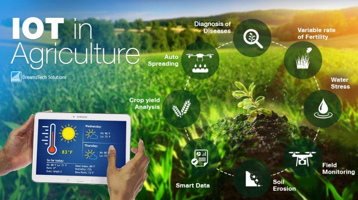 The Role of IoT in Smart Agriculture