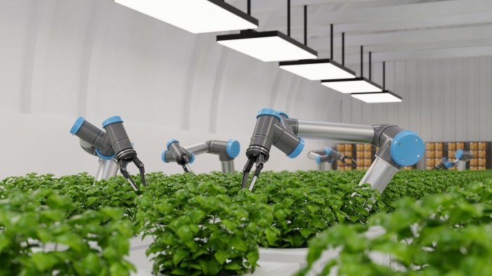 How Robotics is Shaping the Future of Automation in Agriculture