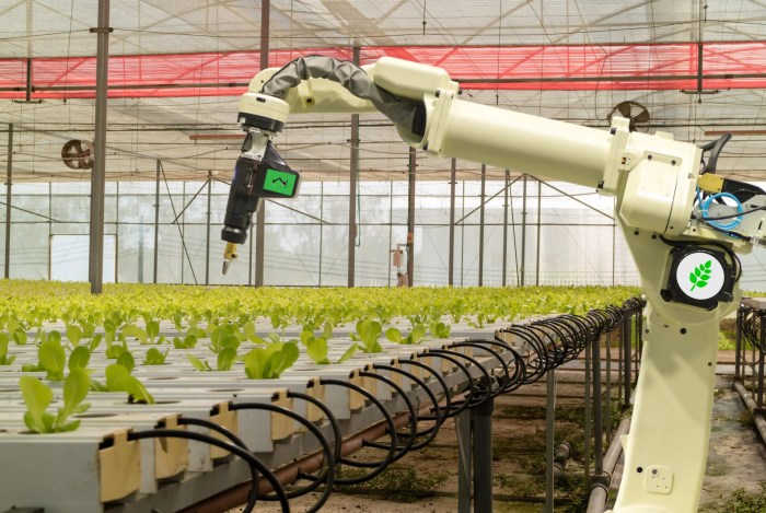 The Role of Robotics in Precision Agriculture for Sustainable Farming