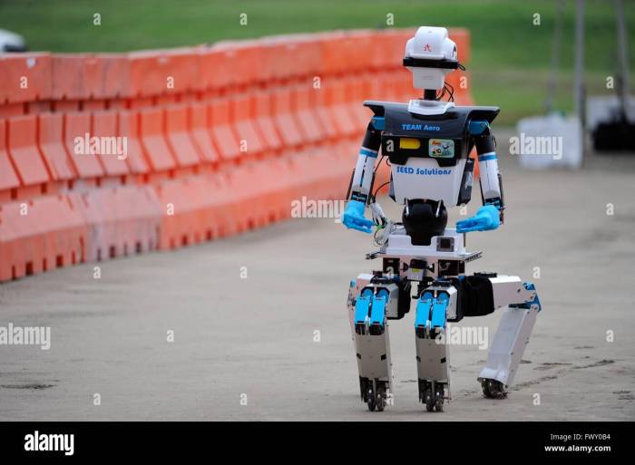 The Role of Robotics in Disaster Relief and Humanitarian Aid